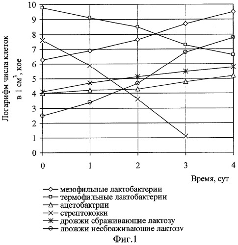 Способ получения симбиотического бактериального концентрата для производства продуктов гетероферментативного брожения (патент 2287939)