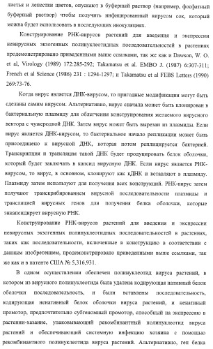 Изолированные полипептиды, кодирующие их полинуклеотиды, экспрессирующие их трансгенные растения и способы их использования (патент 2425151)