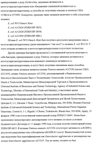 Способ получения l-треонина с использованием бактерии, принадлежащей к роду escherichia, обладающей усиленной экспрессией оперона fucpikur (патент 2318870)