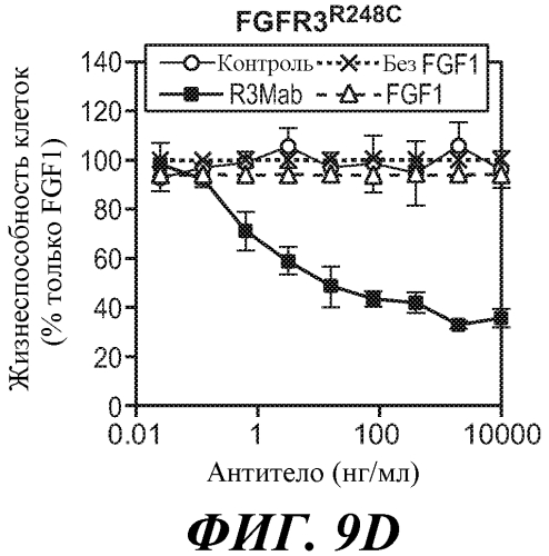 Антитела против fgfr3 и способы их применения (патент 2568066)