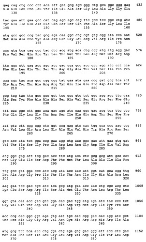 Гены grg23 и grg51, придающие устойчивость к гербицидам (патент 2393225)