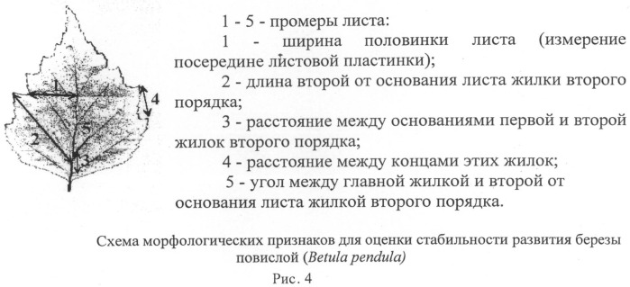 Способ комплексной оценки состояния лесных экосистем в районах техногенного воздействия промышленных объектов (патент 2489846)