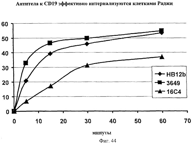 Гуманизированные антитела к cd19 и их применение для лечения онкологического, связанного с трансплантацией и аутоиммунного заболевания (патент 2495882)