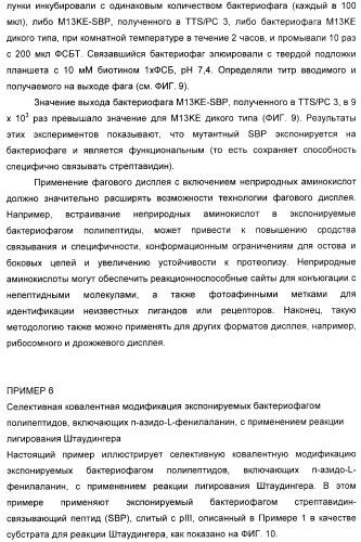 Селективная посттрансляционная модификация экспонируемых фагами полипептидов (патент 2459866)