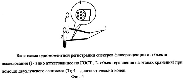 Способ люминесцентной диагностики и/или качественной оценки состояния биологического объекта и устройство для его осуществления (патент 2254372)