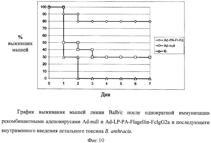 Способ получения рекомбинантной вакцины (патент 2444570)