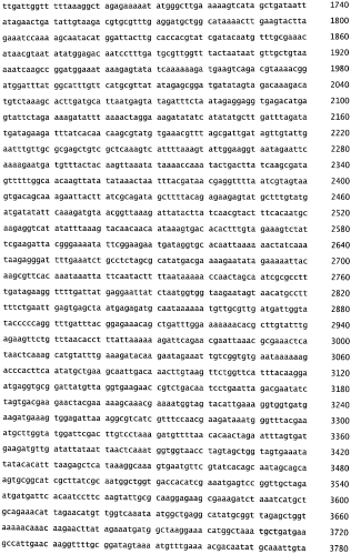 Бактериофаг, обладающий активностью против pseudomonas aeruginosa, белки бактериофага и способы их применения (патент 2580248)