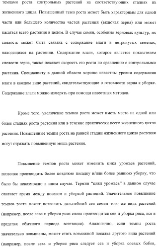 Растения с повышенной урожайностью и способ их получения (патент 2377306)