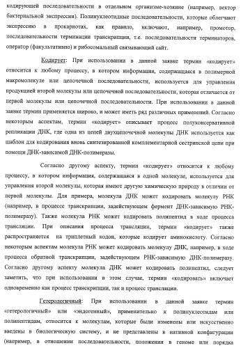 Система экспрессии компонентов ортогональной трансляции в эубактериальной клетке-хозяине (патент 2467069)