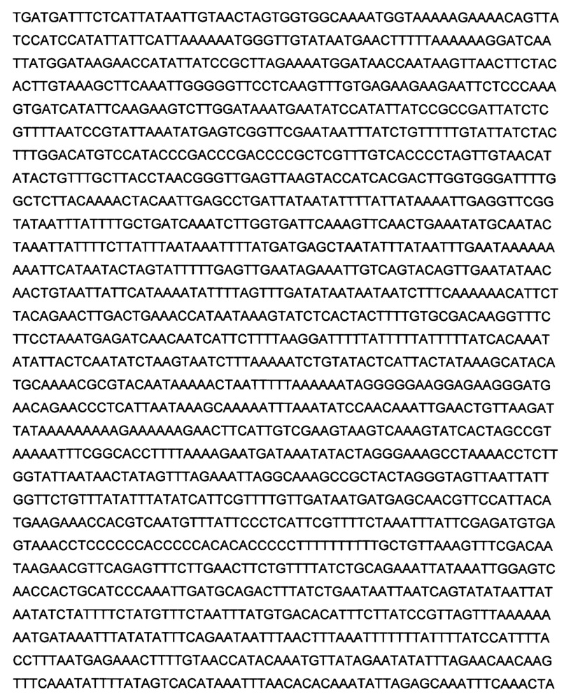 Изопропилмалат синтаза из nicotiana tabacum и способы и ее применение (патент 2644238)