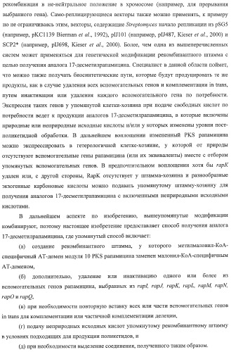 Получение поликетидов и других природных продуктов (патент 2430922)