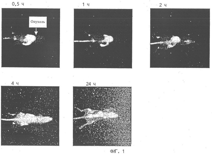 Флюоресцентный контрастирующий агент ближней инфракрасной области спектра и способ флуоресцентной томографии (патент 2350355)