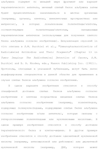 Слитые белки альбумина (патент 2369404)