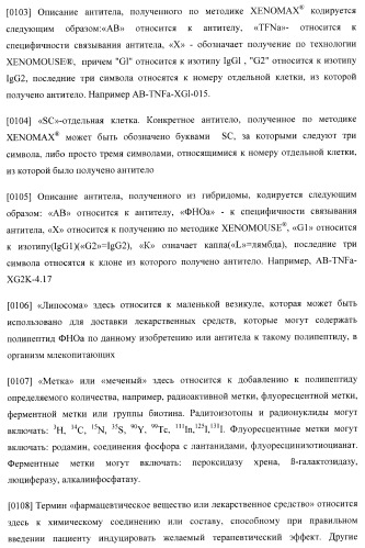 Антитела, специфичные к фактору некроза опухолей, и их применение (патент 2377253)
