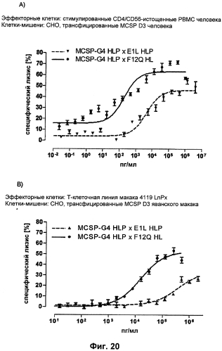 Cd3-эпсилон-связывающий домен с межвидовой специфичностью (патент 2561457)