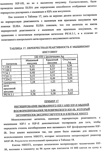 Связывающие протеины, специфичные по отношению к инсулин-подобным факторам роста, и их использование (патент 2492185)