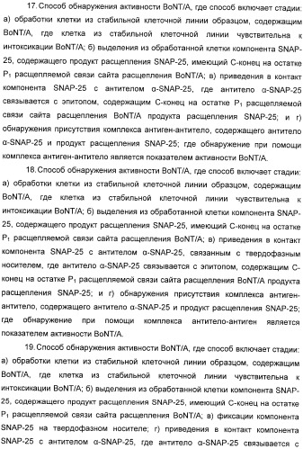 Иммунологические анализы активности ботулинического токсина серотипа а (патент 2491293)