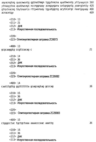 Новый лиганд рецептора цитокина zcytor17 (патент 2360923)