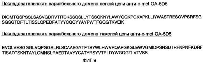 Способ лечения опухоли у субъекта (патент 2404193)