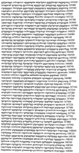 Модуляция экспрессии гентингтина (патент 2562861)