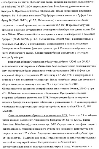 Упакованные иммуностимулирующей нуклеиновой кислотой частицы, предназначенные для лечения гиперчувствительности (патент 2451523)