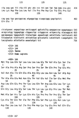 Новый лиганд рецептора цитокина zcytor17 (патент 2360923)