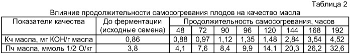 Способ послеуборочной обработки плодов тунга (патент 2355745)