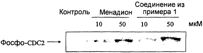 Ингибиторы фосфатаз cdc25 (патент 2285521)