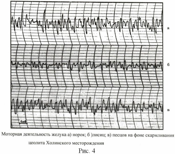 Способ профилактики болезней желудочно-кишечного тракта у пушных зверей цеолитом (патент 2481773)