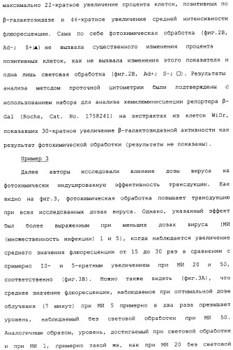 Фотохимическая интернализация для опосредованной вирусом доставки молекулы в цитозоль (патент 2317827)
