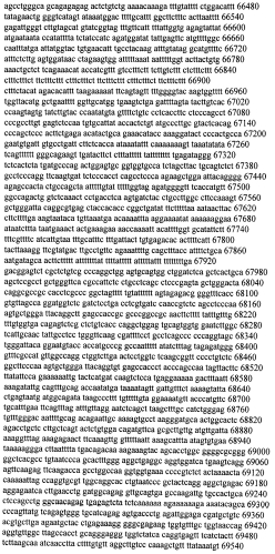 Модуляция экспрессии гентингтина (патент 2562861)