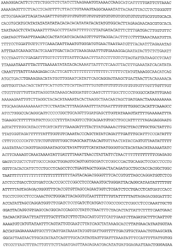 Применение s1p (патент 2362565)
