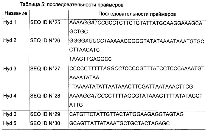 Способ биологического производства н-бутанола (патент 2461627)