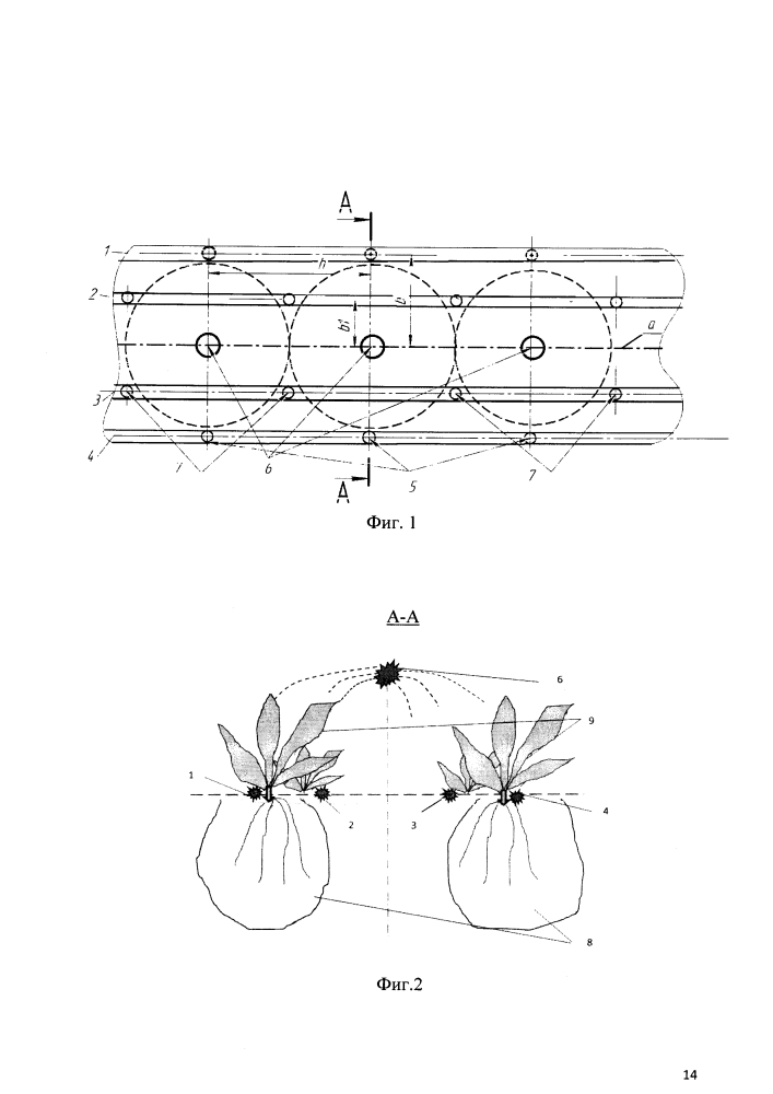 Способ возделывания корнеплодов при комбинированном орошении и устройство для его осуществления (патент 2643730)