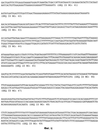 Промоторы lactococcus и их применение: (патент 2495129)