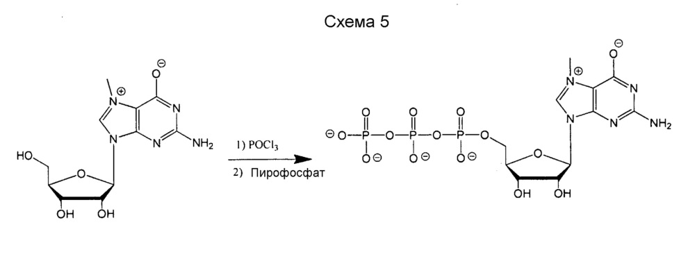 Модифицированные нуклеозиды, нуклеотиды и нуклеиновые кислоты и их применение (патент 2648950)