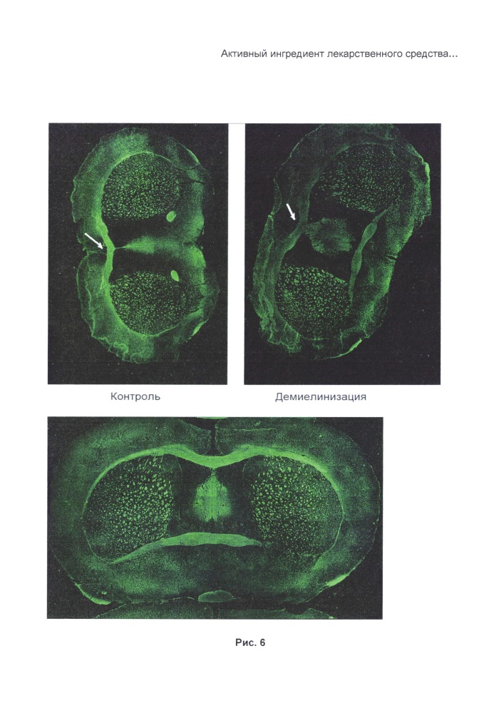 Активный ингредиент лекарственного средства, лекарственное средство, фармацевтическая композиция и способ лечения демиелинизирующих заболеваний живого организма, включая профилактику заболевания (патент 2631887)