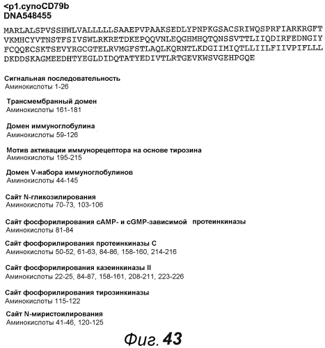 Анти-cd79b антитела и иммуноконъюгаты и способы их применения (патент 2553566)