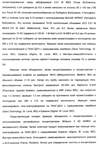 Выделенный полипептид, связывающий рецептор zalpha11-лиганда (варианты), кодирующий его полинуклеотид (варианты), вектор экспрессии (варианты) и клетка-хозяин (варианты) (патент 2346951)