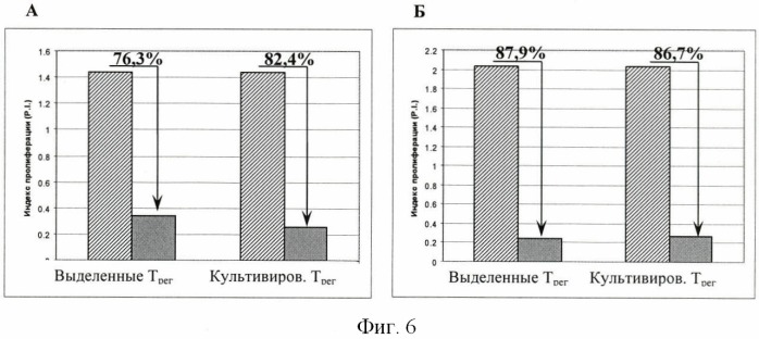 Способ обогащения регуляторных cd4+cd25+foxp3+t-клеток человека ex vivo (патент 2437933)