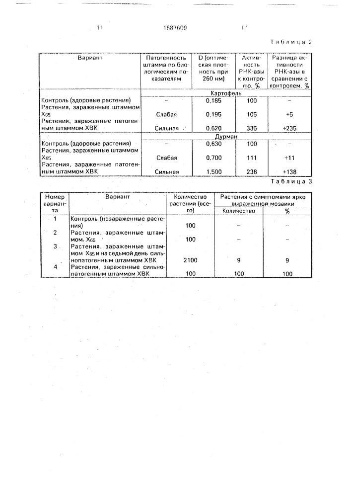Штамм х-вируса картофеля х65 для вакцинации растений картофеля (патент 1687609)