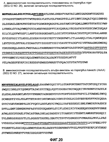 Глюкоамилаза trichoderma reesei и ее гомологи (патент 2394101)