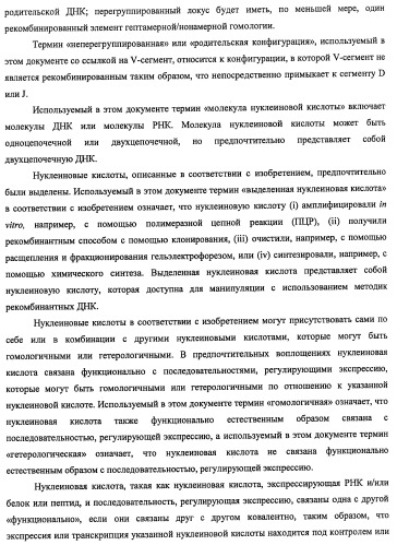 Моноклональные антитела к клаудину-18 для лечения рака (патент 2445319)