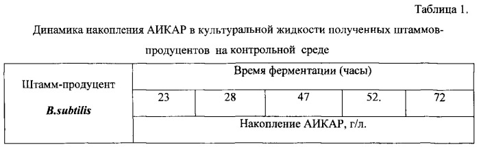 Бактерия bacillus subtilis, продуцирующая 5`-аминоимидазол-4-карбоксамидрибозид (аикар), и способ микробиологического синтеза аикар путем культивирования такой бактерии (патент 2542387)