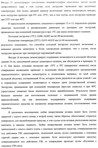 Лекарственные ядра для замедленного высвобождения терапевтических средств (патент 2478366)