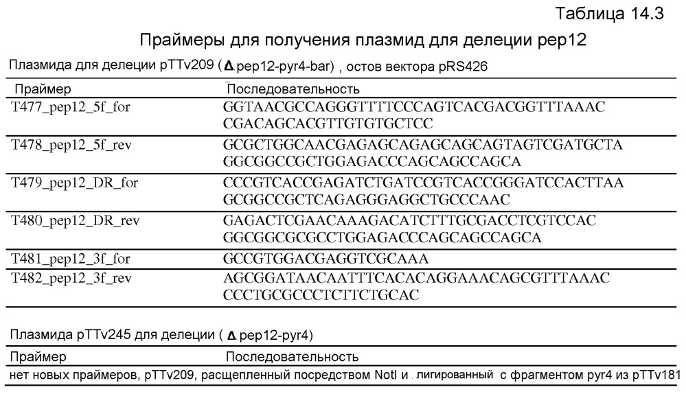 Клетка нитчатых грибов с дефицитом протеаз и способы ее применения (патент 2645252)