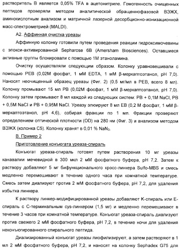 Использование уреазы для ингибирования роста раковых клеток (патент 2326691)