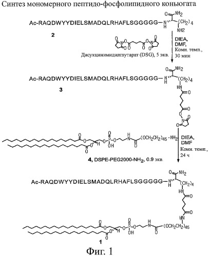 Конъюгаты фосфолипидов и направляющих векторных молекул (патент 2433137)