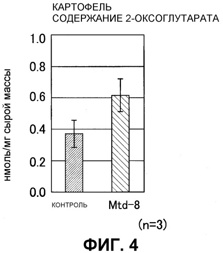 Растение, характеризующееся уменьшенным периодом покоя, и способ продукции указанных растений (патент 2298034)