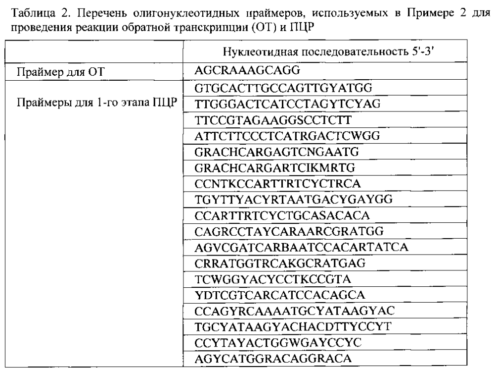 Способ идентификации рнк вирусов гриппа а и в с одновременным определением вариантов гемагглютинина и нейраминидазы вируса гриппа а, идентификацией генетических маркеров патогенности и устойчивости к противогриппозным препаратам на биологических микрочипах, биочип, набор олигонуклеотидных зондов, используемые в способе (патент 2603000)